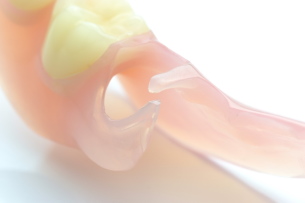 �G�X�e�V���b�g